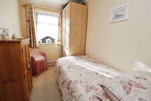 CONIFER CLOSE- click for photo gallery